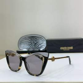 Picture of Roberto Cavalli Sunglasses _SKUfw65350546fw